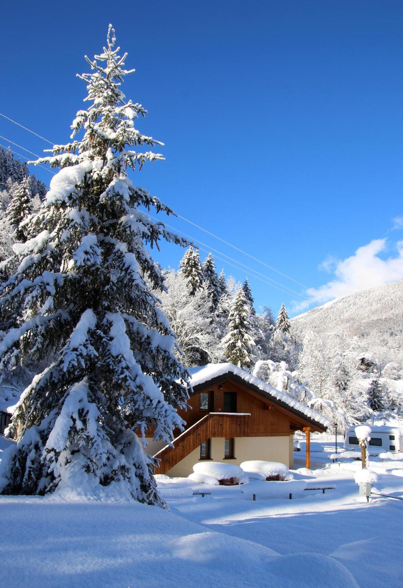 Chalet Presanella Temù Eksteriør billede
