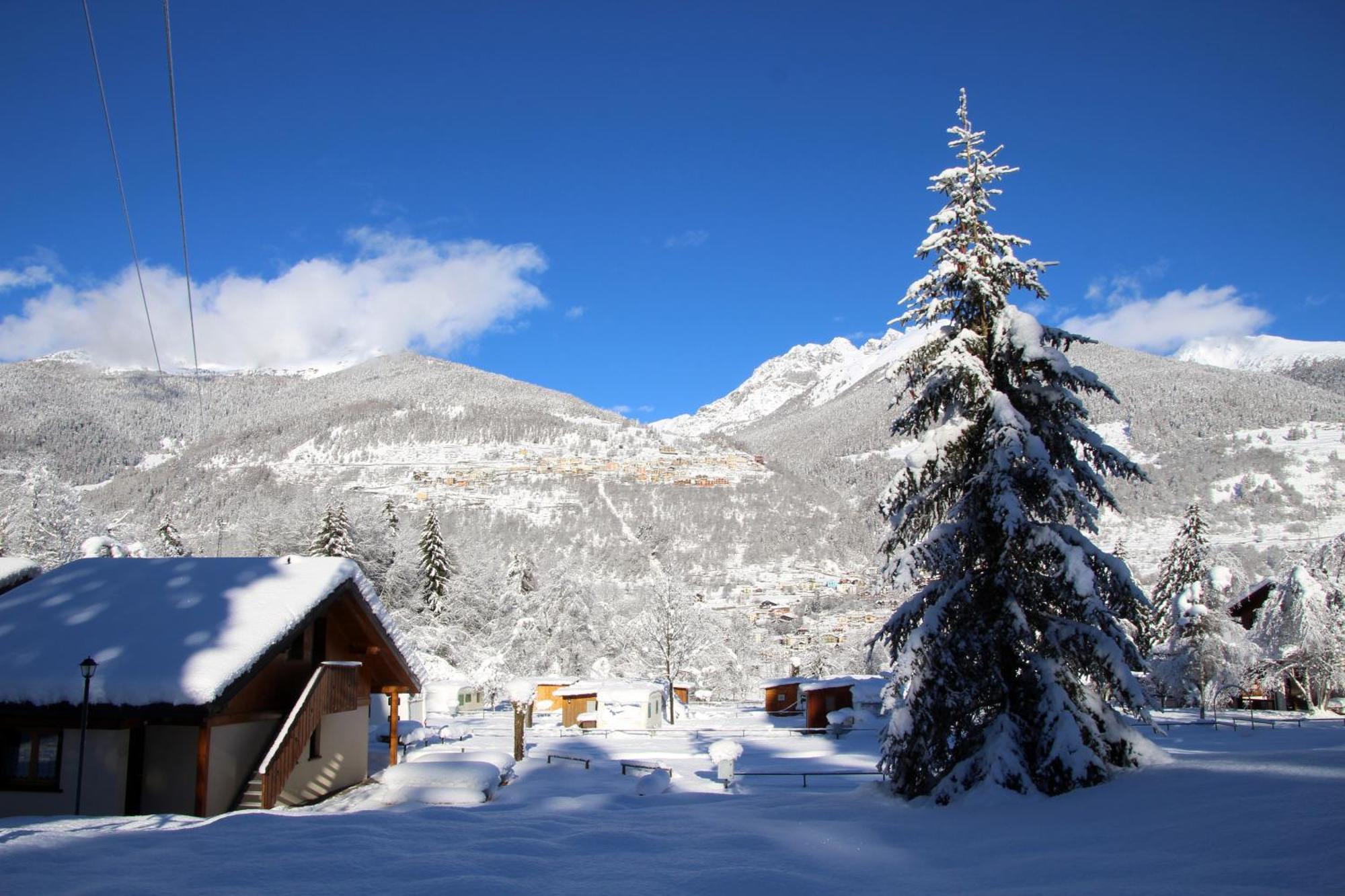 Chalet Presanella Temù Eksteriør billede